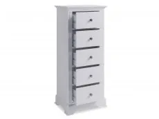 Kenmore Catlyn White 5 Drawer Tall Narrow Chest of Drawers (Assembled)