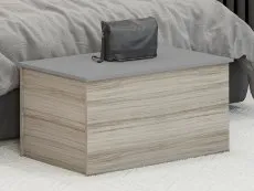 Seconique Seconique Nevada Grey Gloss and Oak Blanket Box