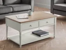 Julian Bowen Julian Bowen Provence Grey and Oak 2 Drawer Coffee Table (Assembled)