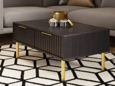 GFW GFW Nervata Black and Gold 2 Drawer Coffee Table