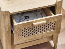 Julian Bowen Julian Bowen Sydney Oak and Rattan Effect 2 Drawer Bedside Table