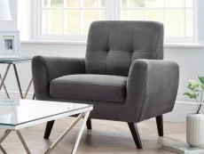 Julian Bowen Julian Bowen Monza Grey Velvet Armchair